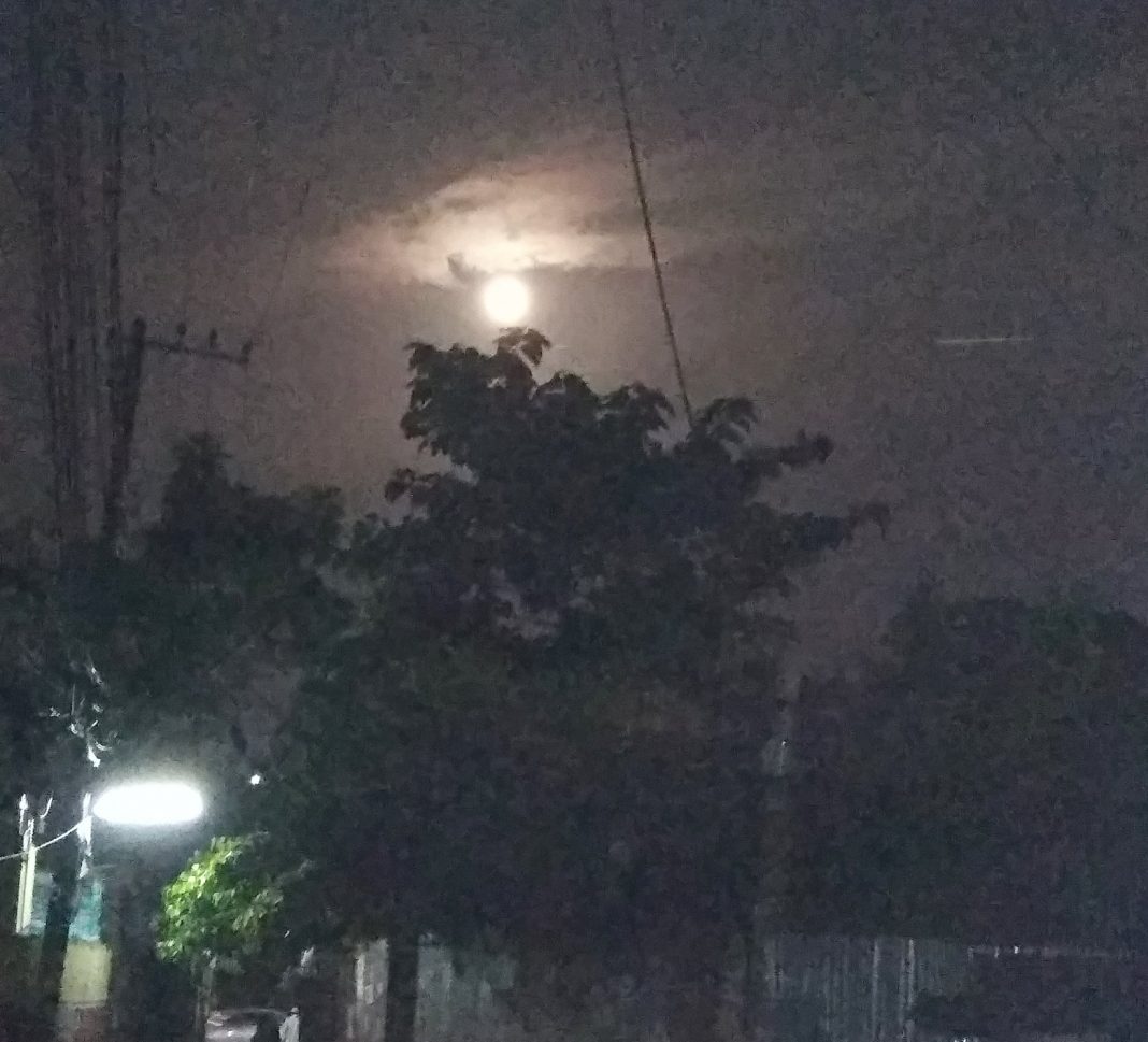 জোছনাপ্রভা(ছোটগল্প)