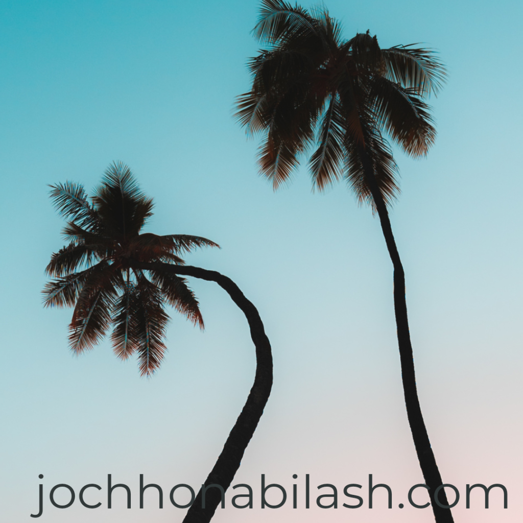 শাবলু শাহাবুদ্দিনের গল্প: পরিবর্তন