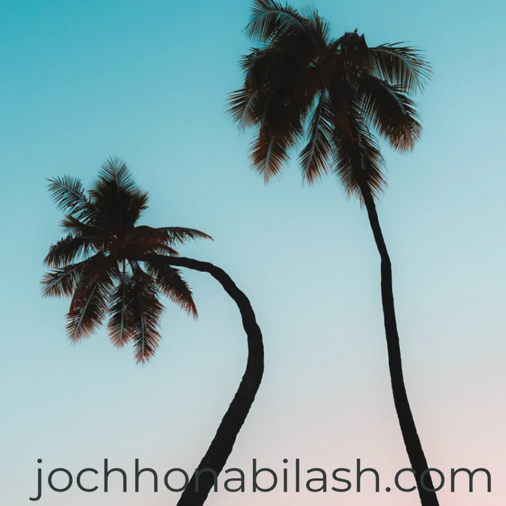 শাবলু শাহাবুদ্দিনের গল্প: পরিবর্তন